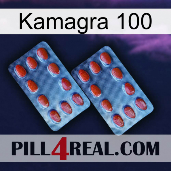 Kamagra 100 05.jpg